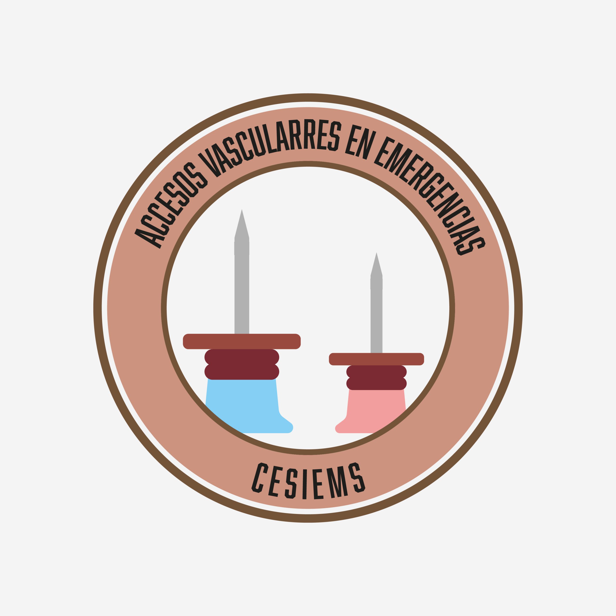 accesos-vasculares-en-emergencias-murcia-espa-a-egs